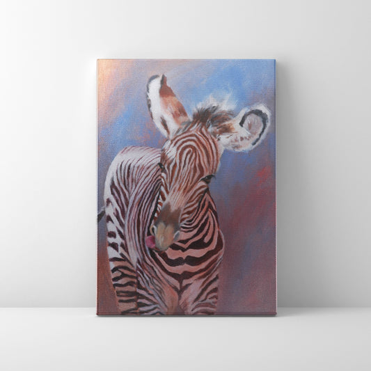 Baby Zebra- Canvas