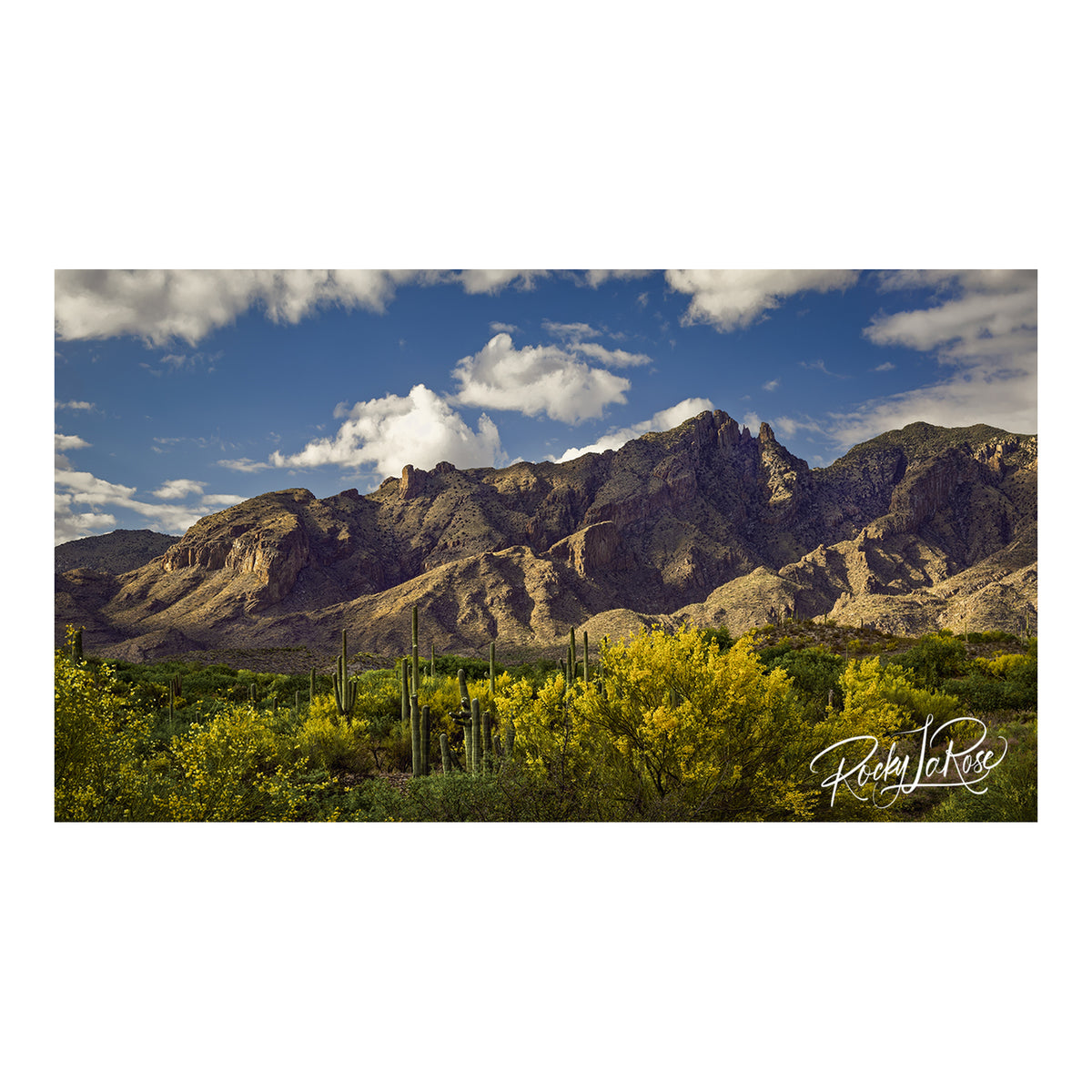 Indoor Aluminum - Catalina Colors by Rocky LaRose