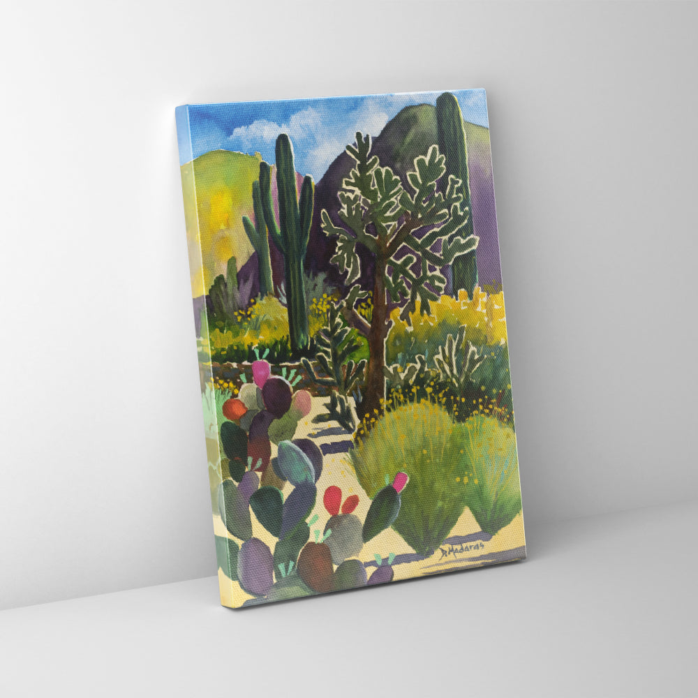 Debbie's Cholla - Canvas