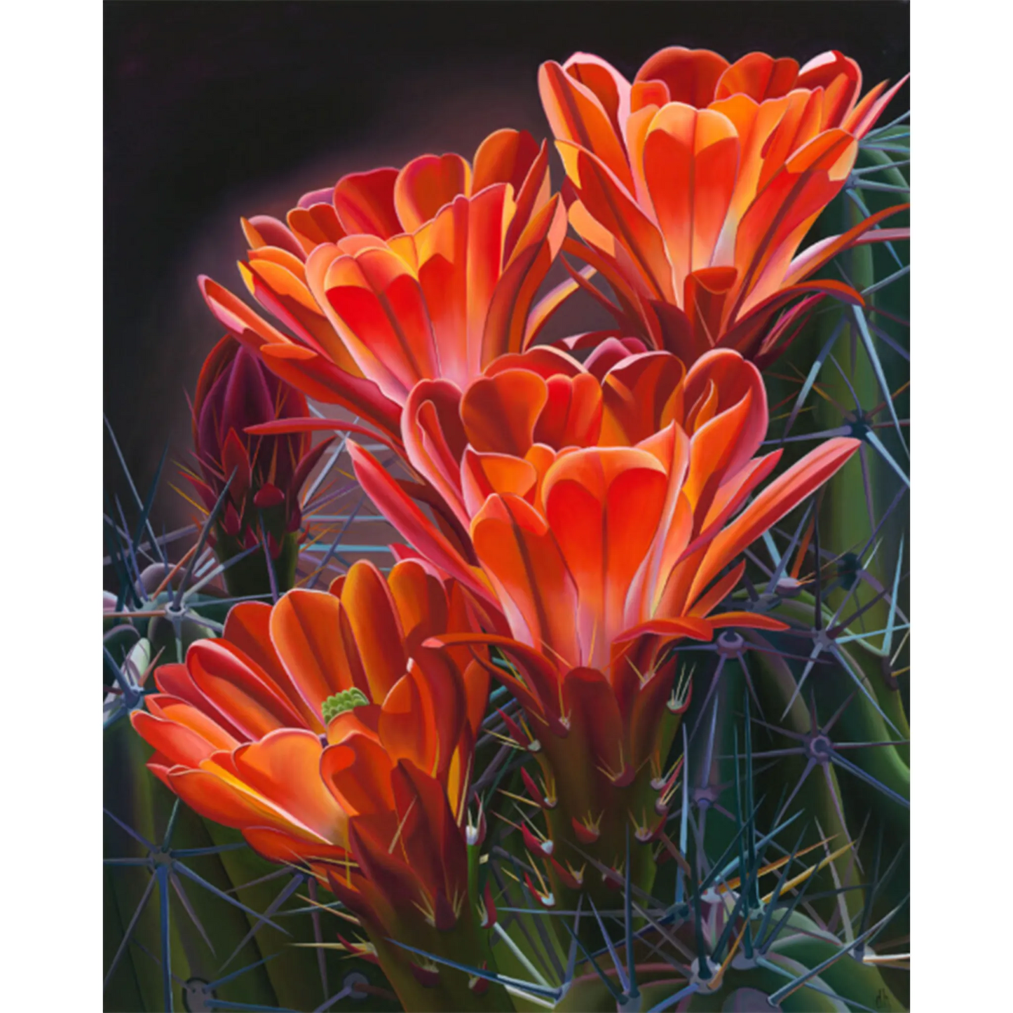 Friends in the Woods by Dyana Hesson