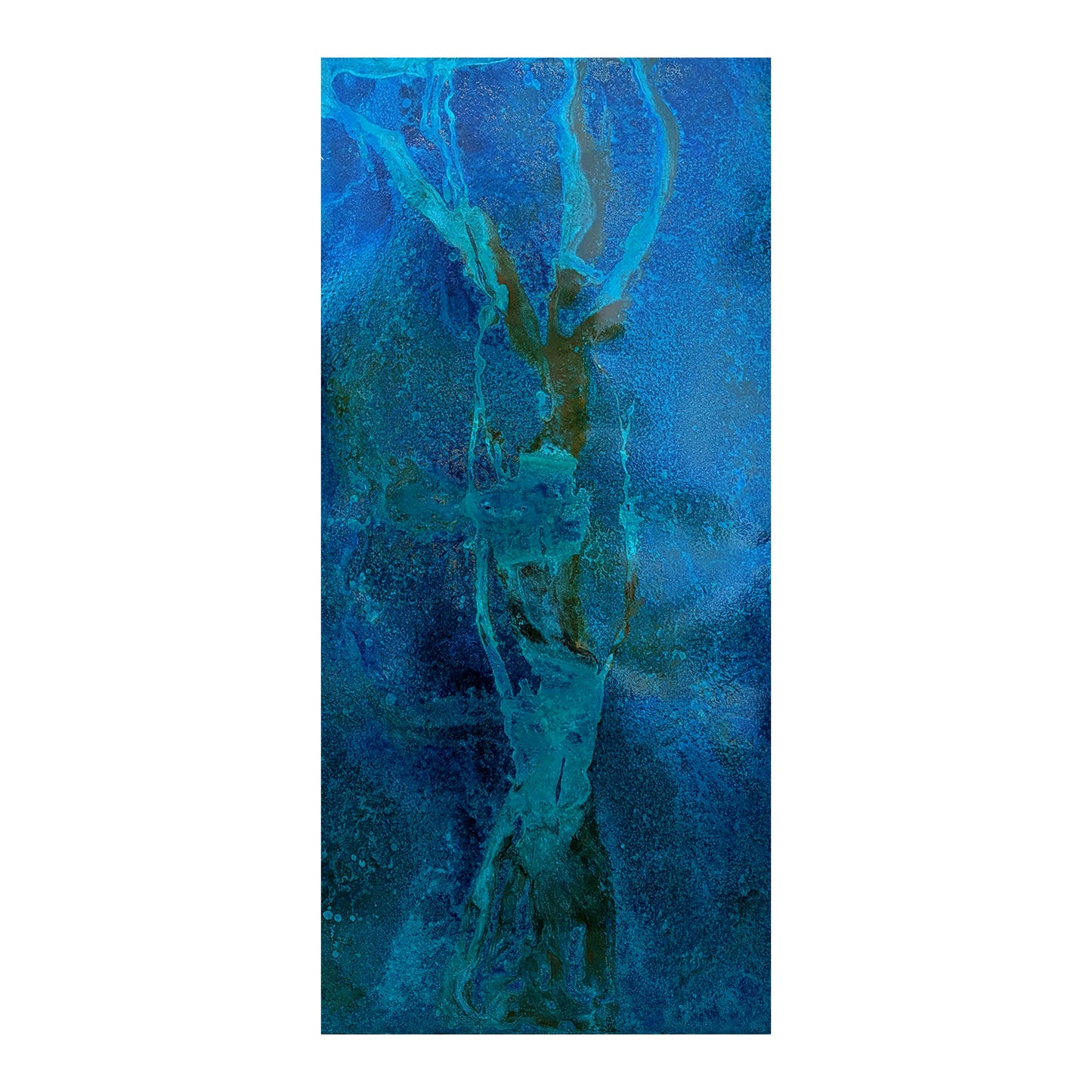 Guacima by Stephen Bruce