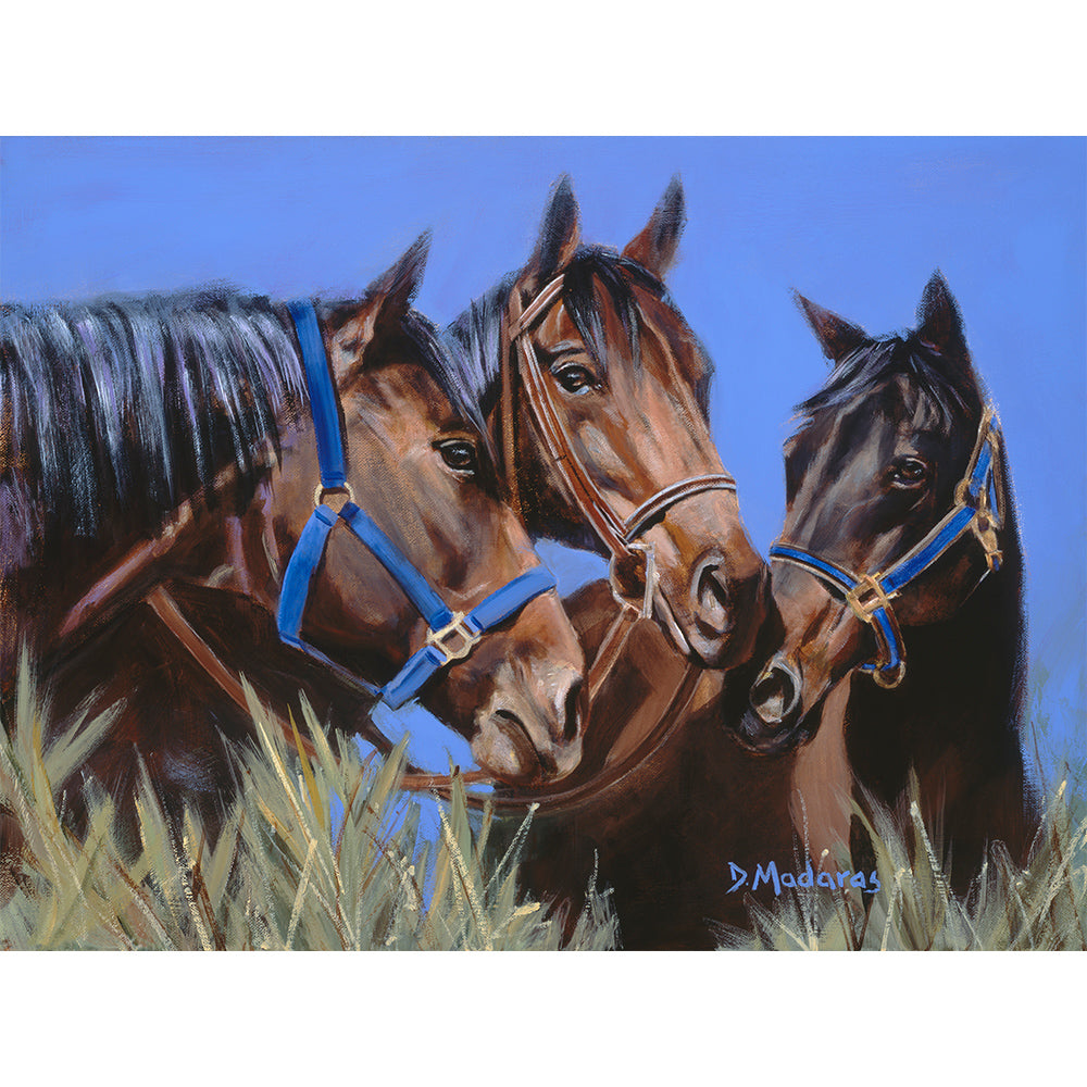 Horse Talk- Matted Print