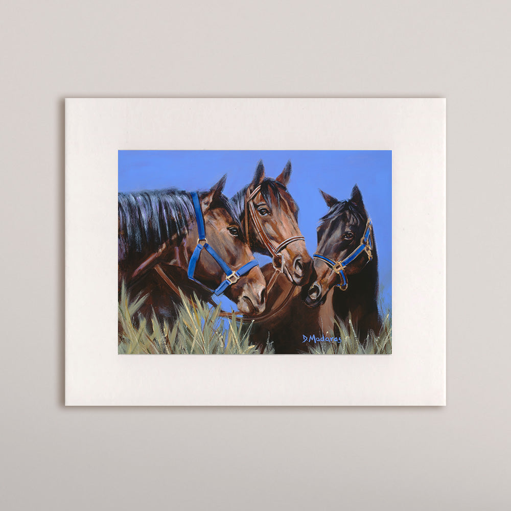 Horse Talk- Matted Print