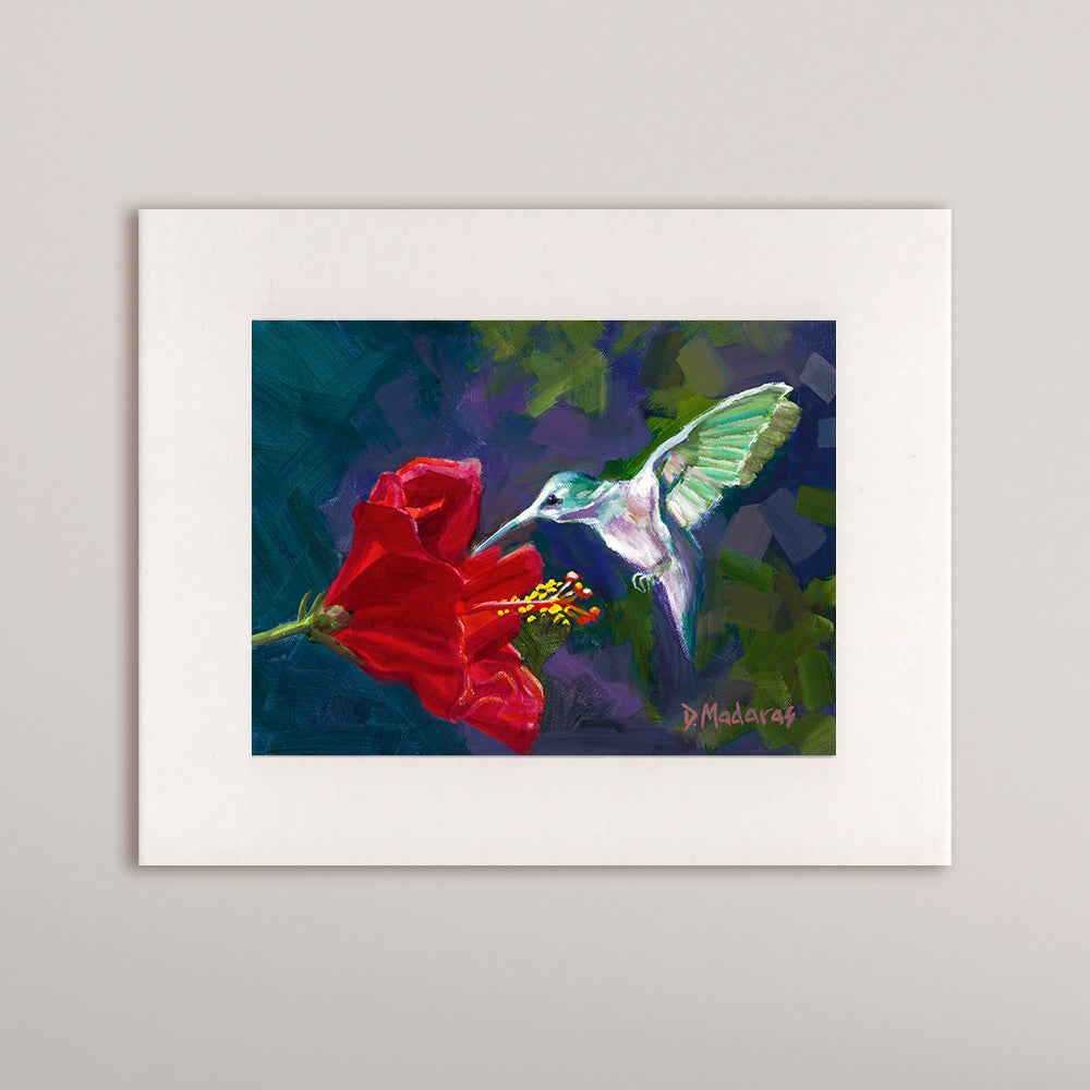 Hummingbird and the Hibiscus- Matted Print