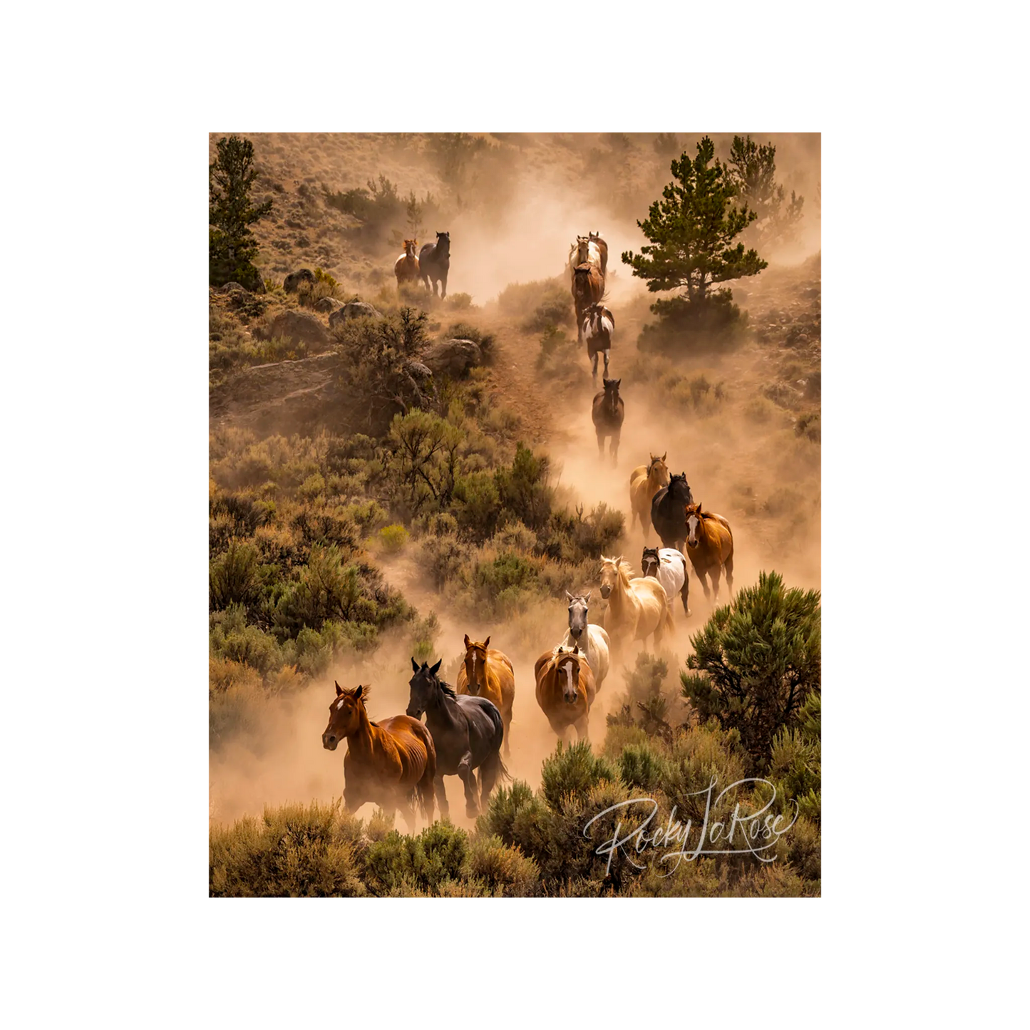 La Remuda by Rocky LaRose - Canvas Giclee