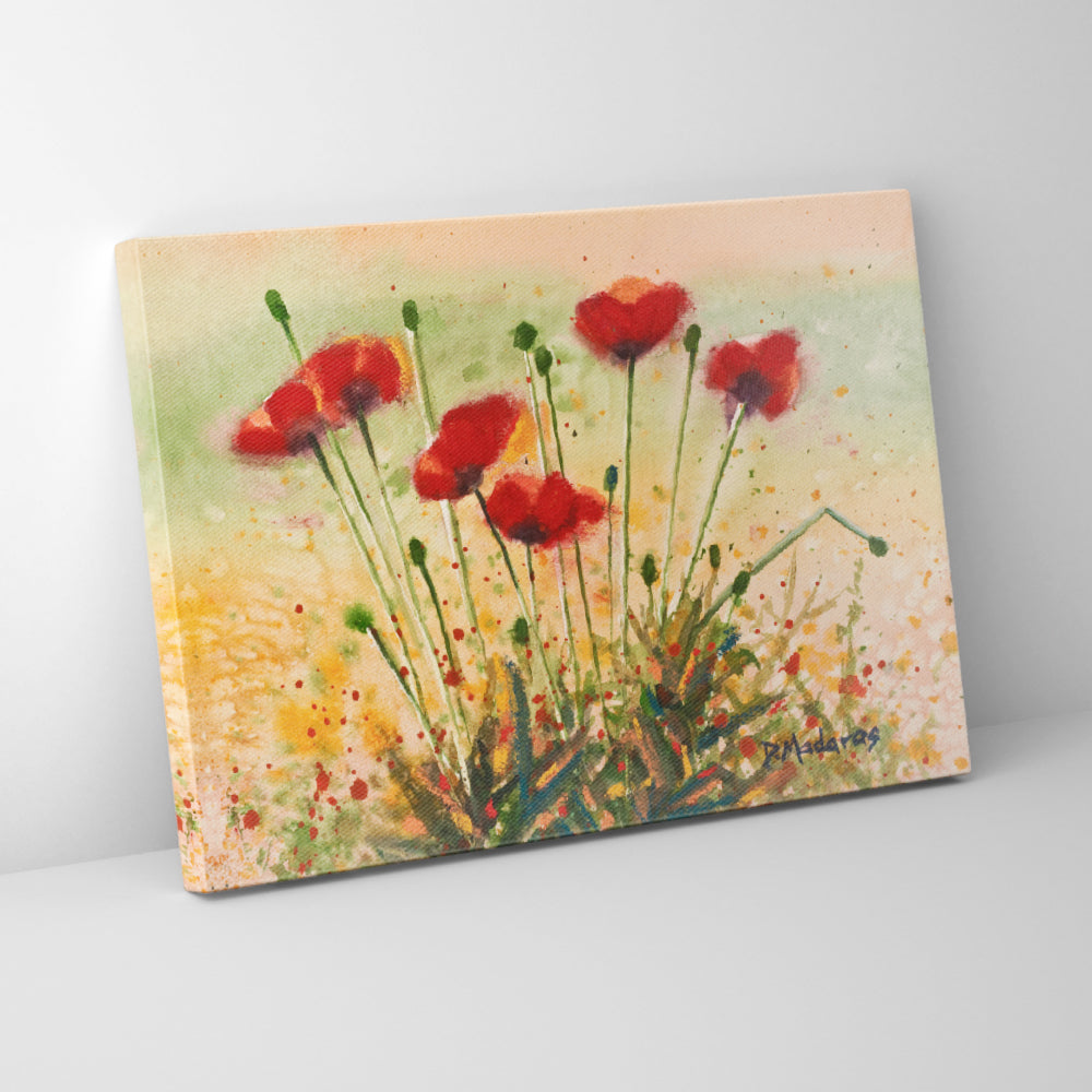 Little Poppies- Canvas