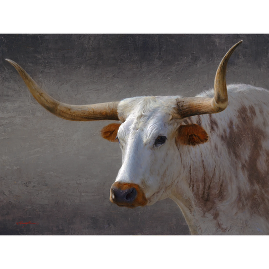 Longhorn by Chauncey Homer- Canvas Giclée