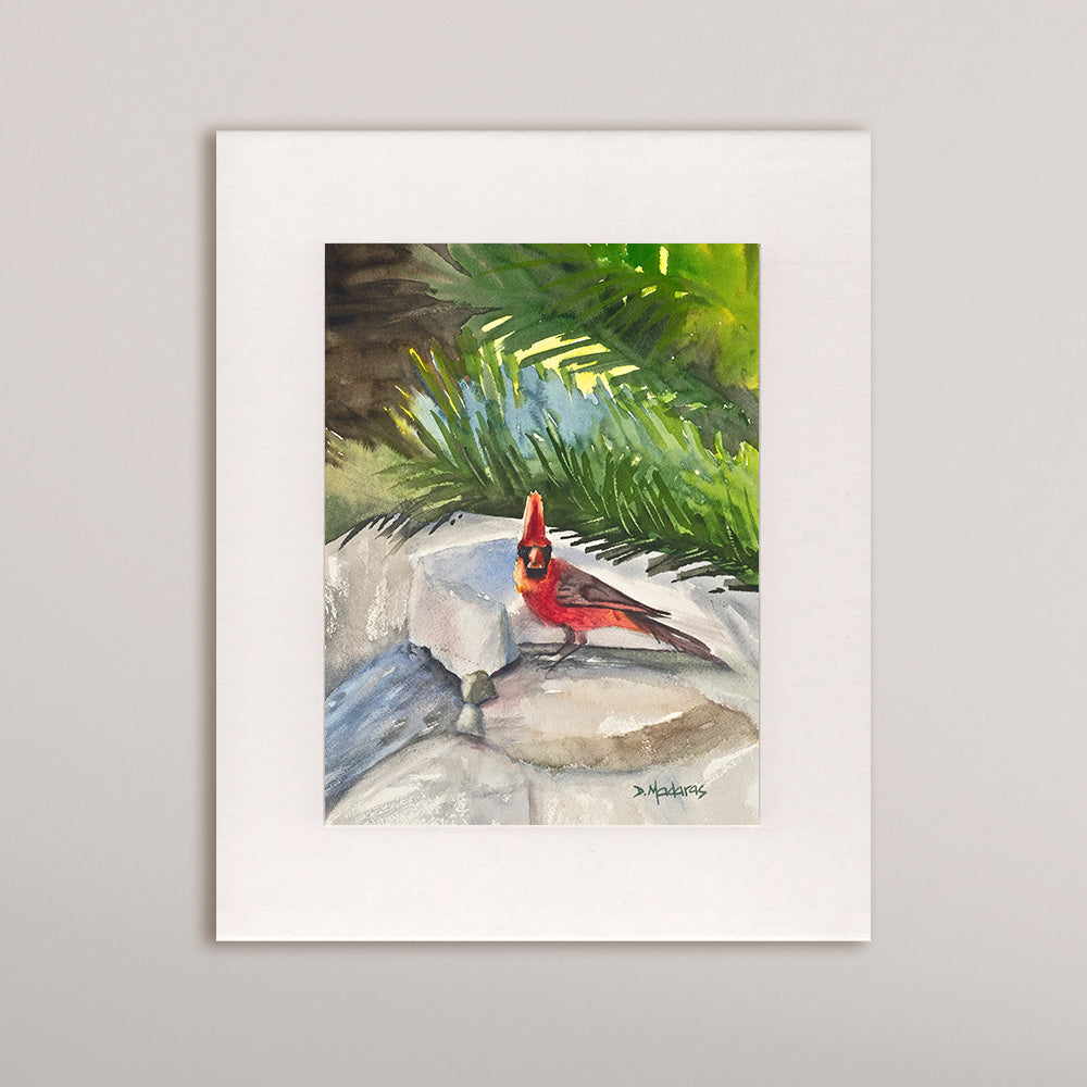 Mom's Cardinal - Matted Print