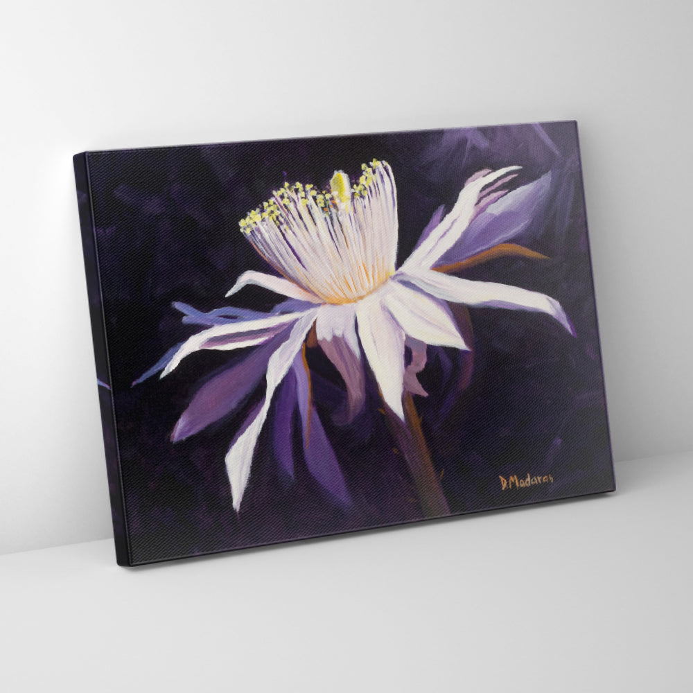 Night Blooming Cereus 2- Canvas