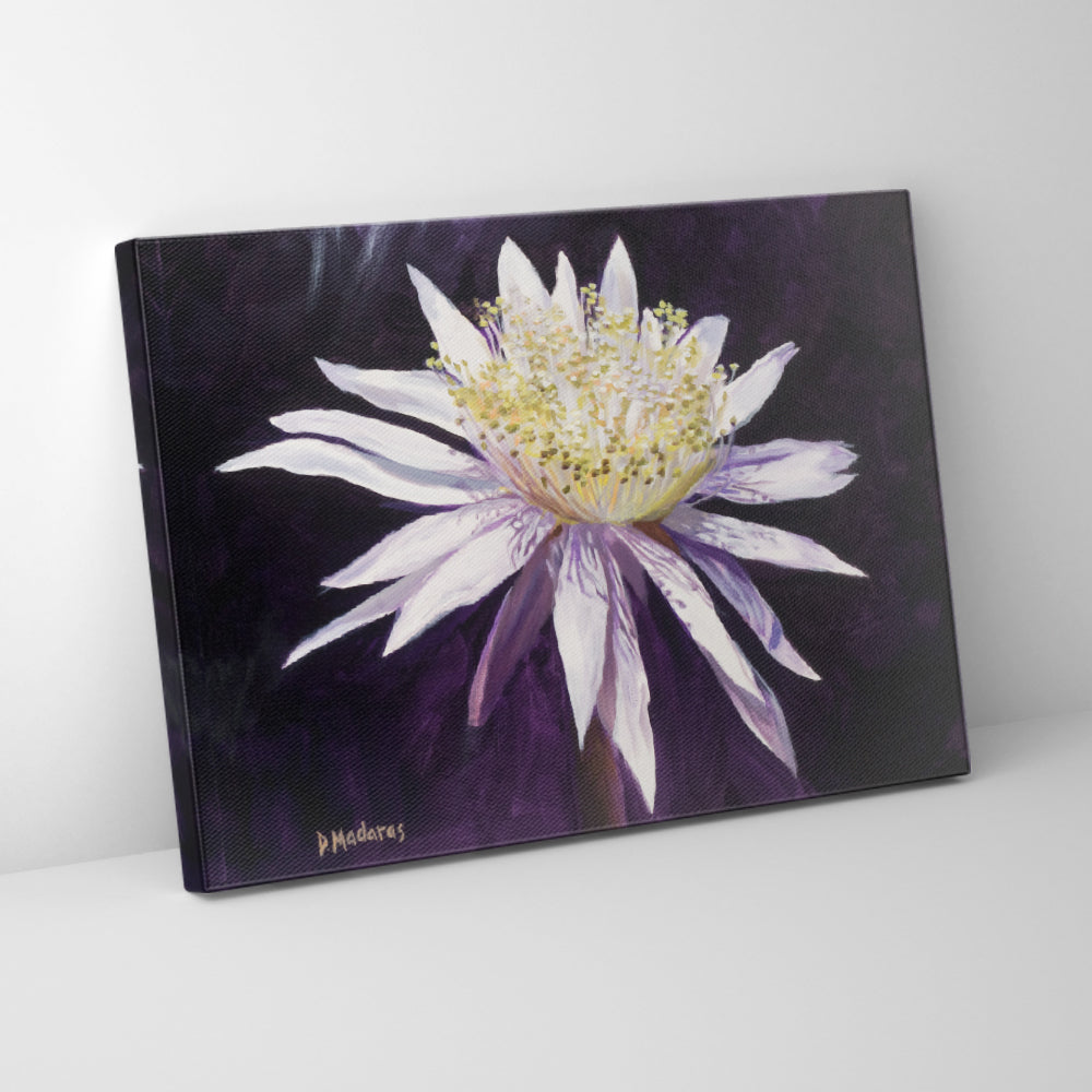 Night Blooming Cereus 3- Canvas