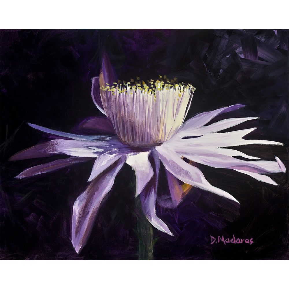 Night Blooming Cereus 1- Canvas