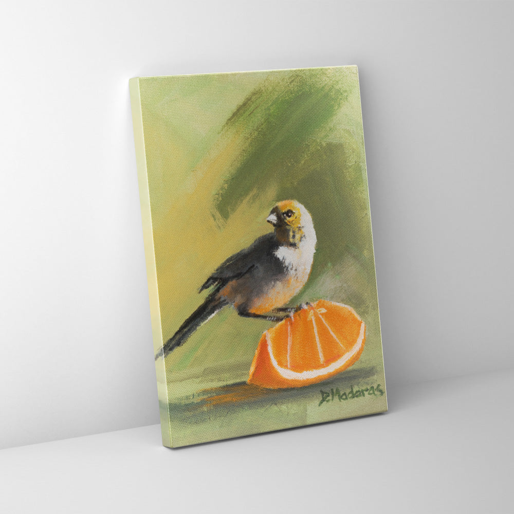 Orange Finch- Canvas