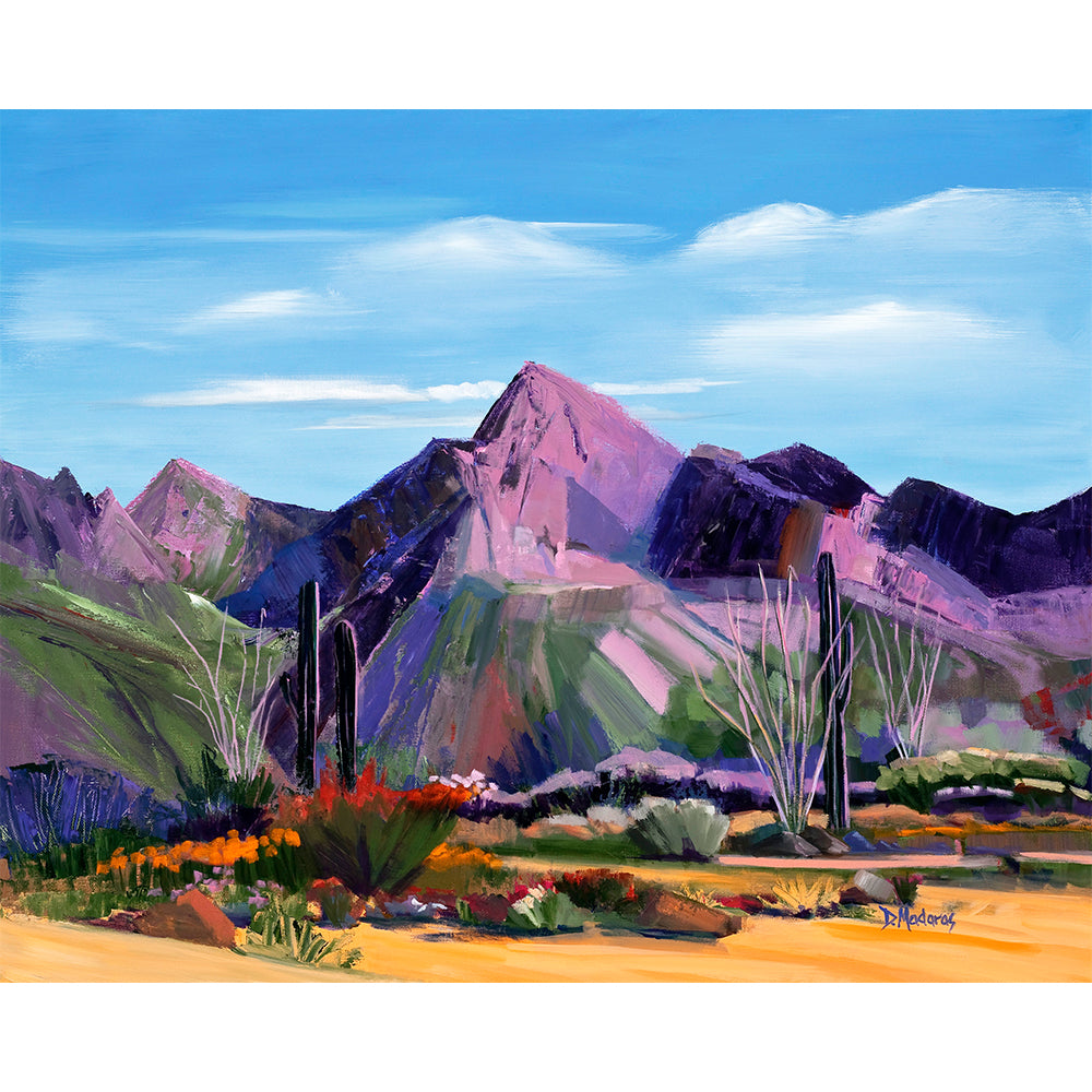 Pink Ocotillo at Pusch Ridge- Mini Canvas