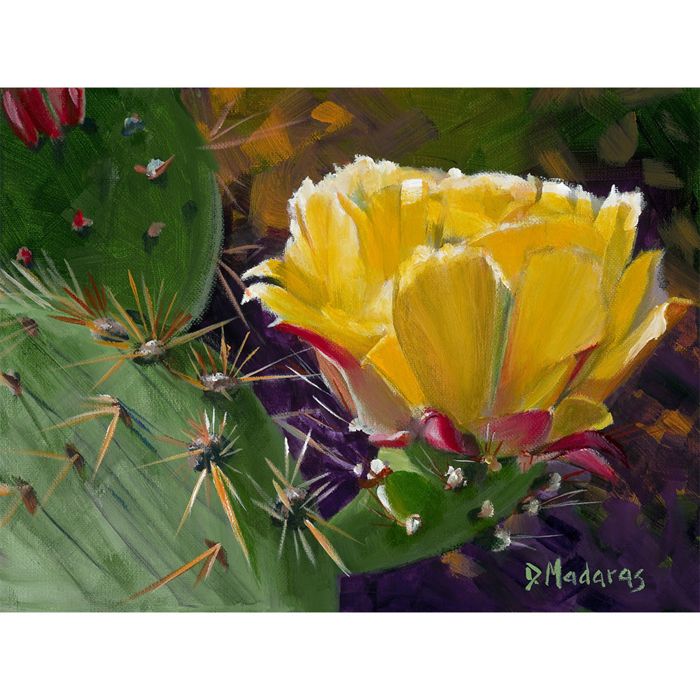 Prickly Pear Bloom - Matted Print