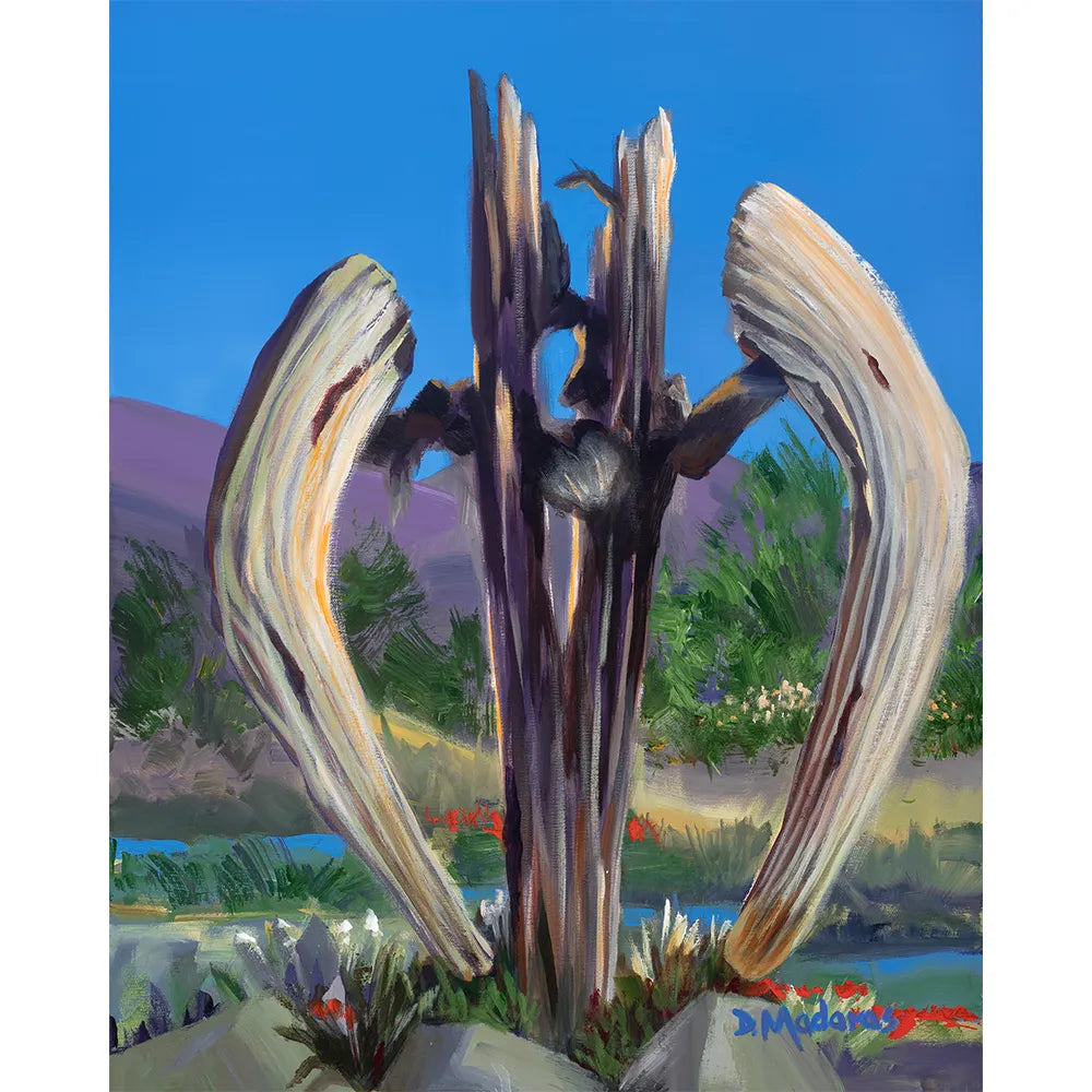 Angel Saguaro - Matted Print