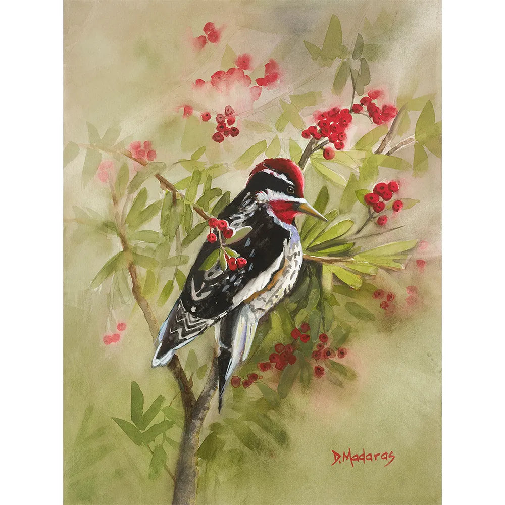 Arizona Christmas Bird- Matted Print