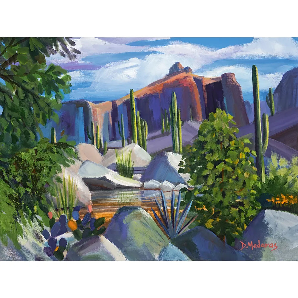 Secluded Sabino- Matted Print