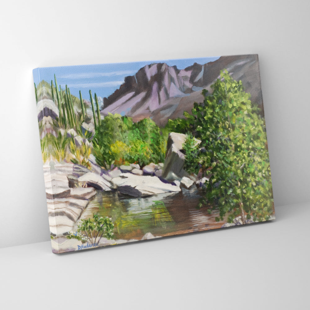 Sabino in Spring- Canvas