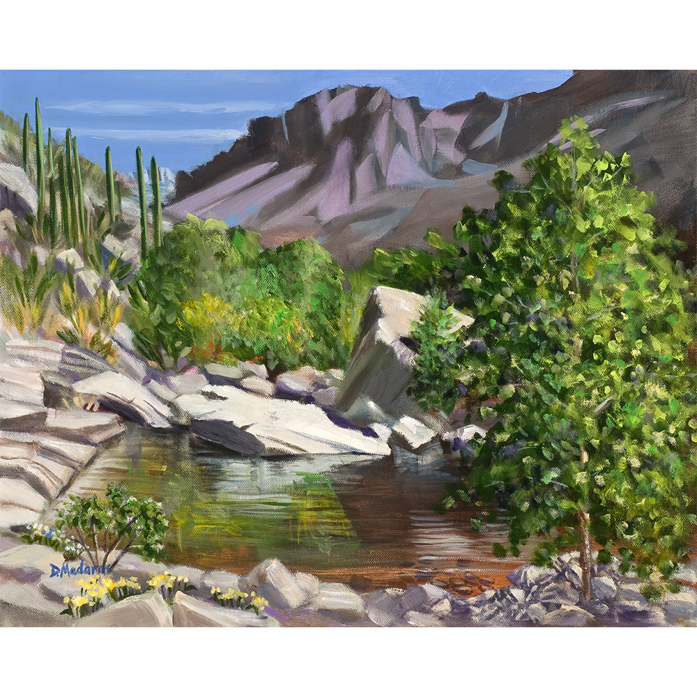 Sabino in Spring- Matted Print