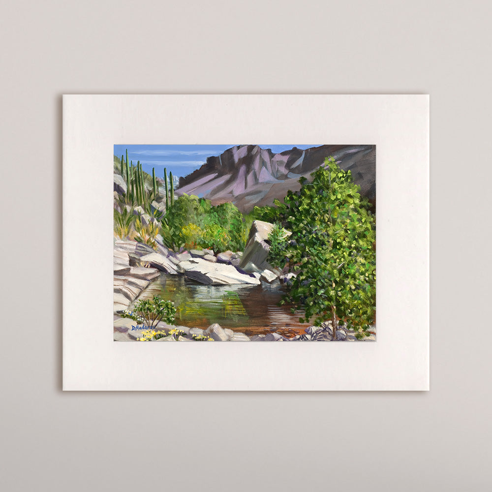 Sabino in Spring- Matted Print