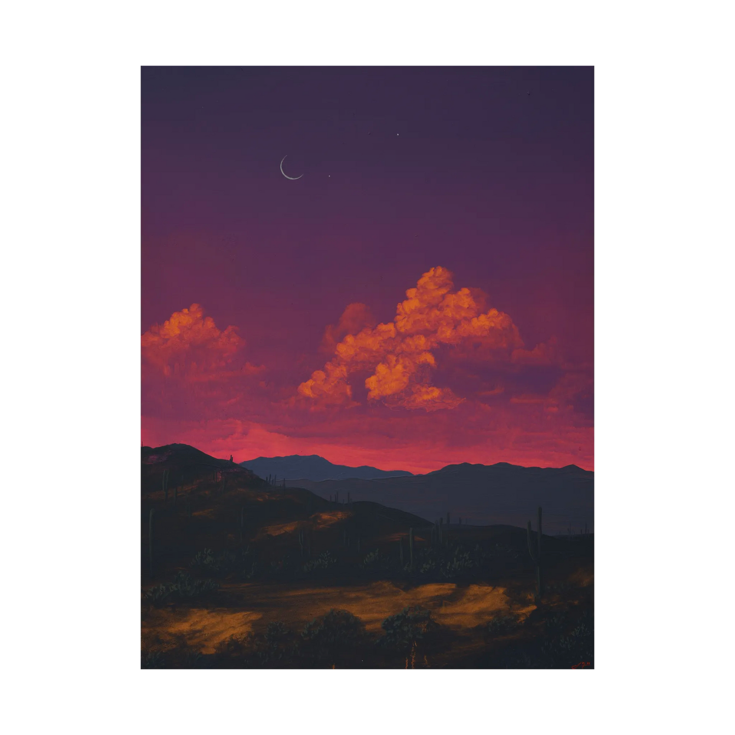 Saguaro Nat'l Park No.2 by Jake Trujillo