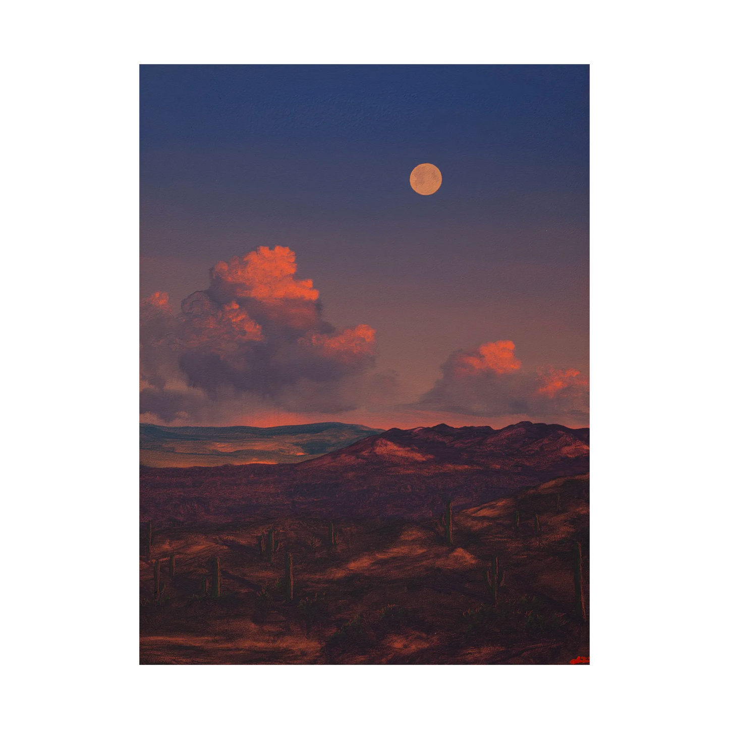Saguaro Nat'l Park No.7 by Jake Trujillo