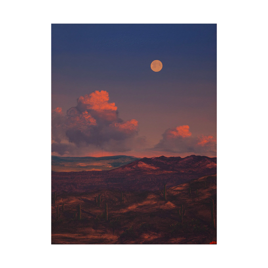 Saguaro Nat'l Park No.7 by Jake Trujillo