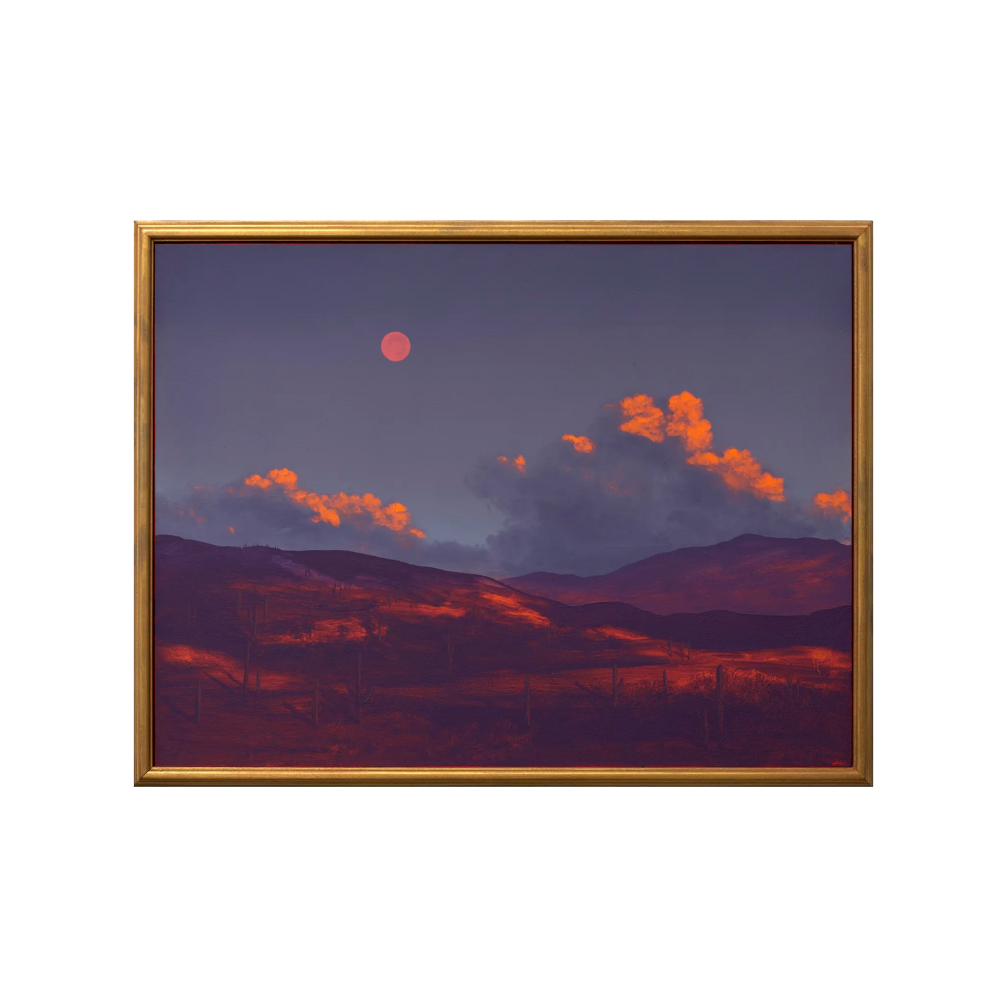 Saguaro National Park No.12 by Jake Trujillo