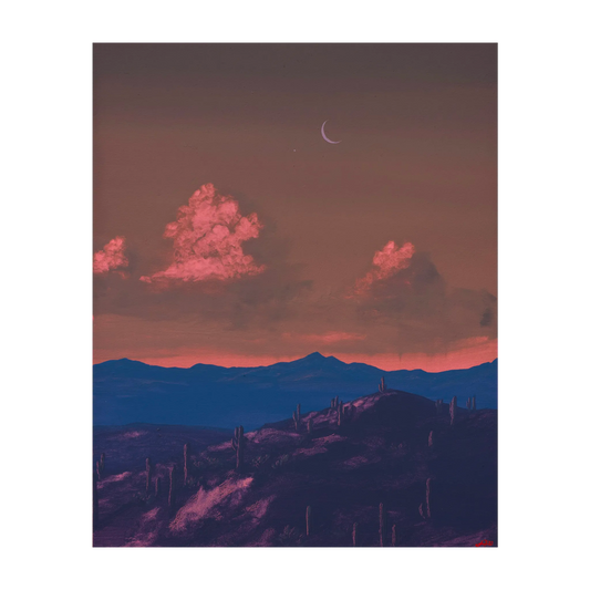 Saguaro Nat'l Park No.3 by Jake Trujillo