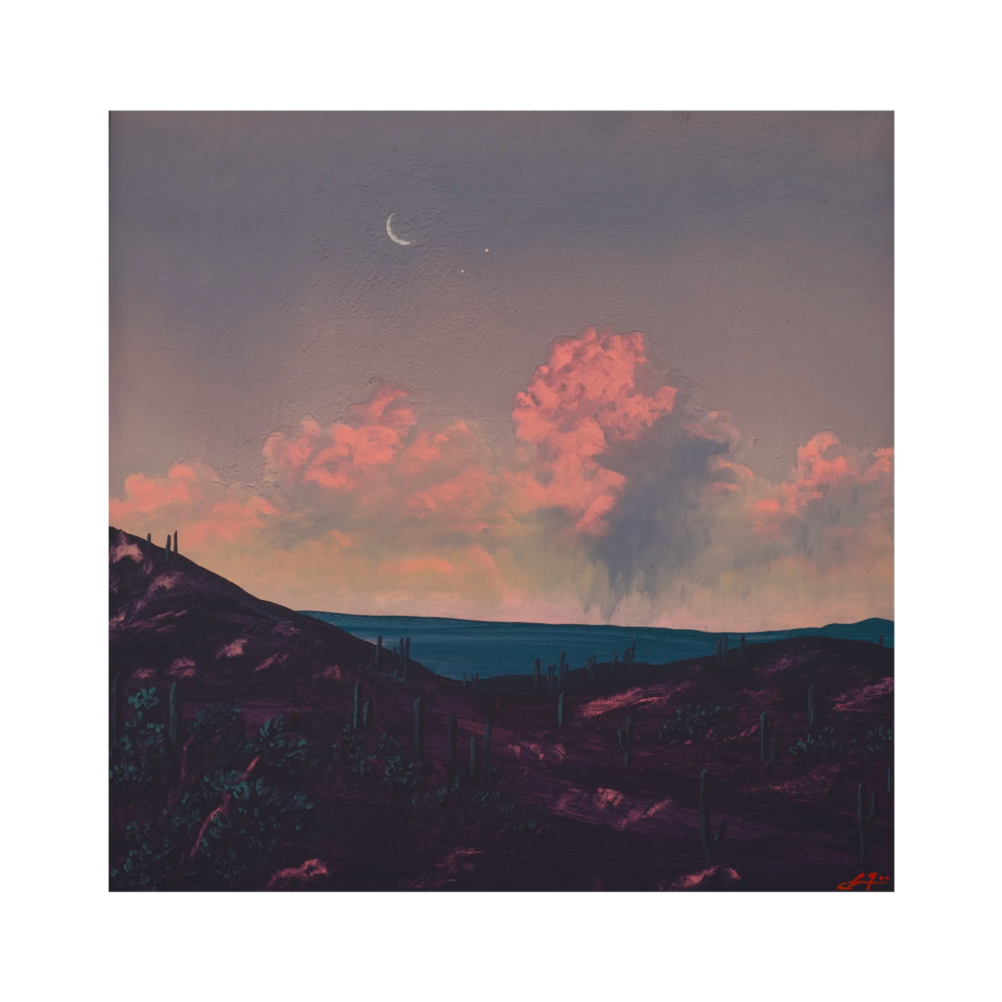 Saguaro Nat'l Park No.5 by Jake Trujillo