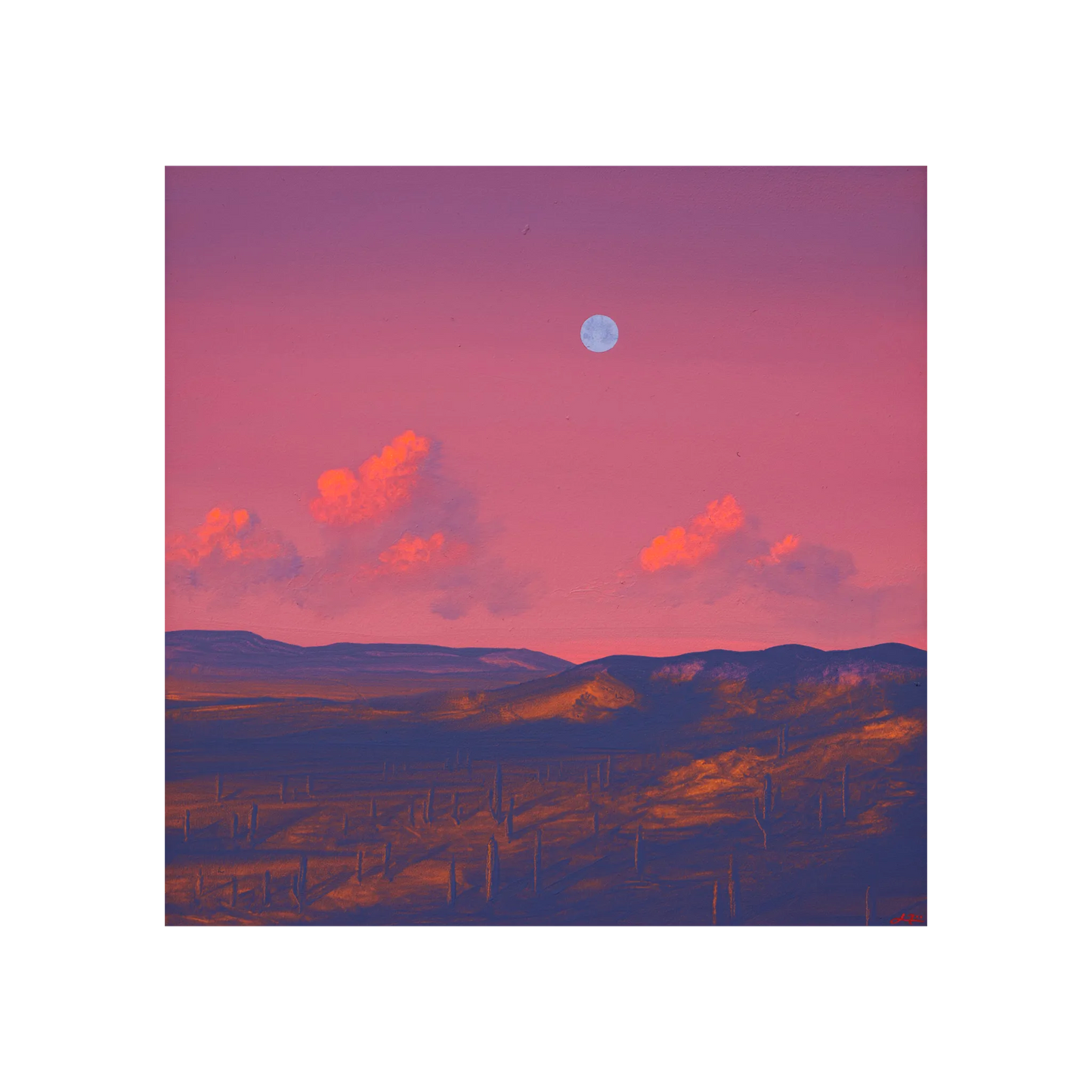 Saguaro Nat'l Park No.6 by Jake Trujillo