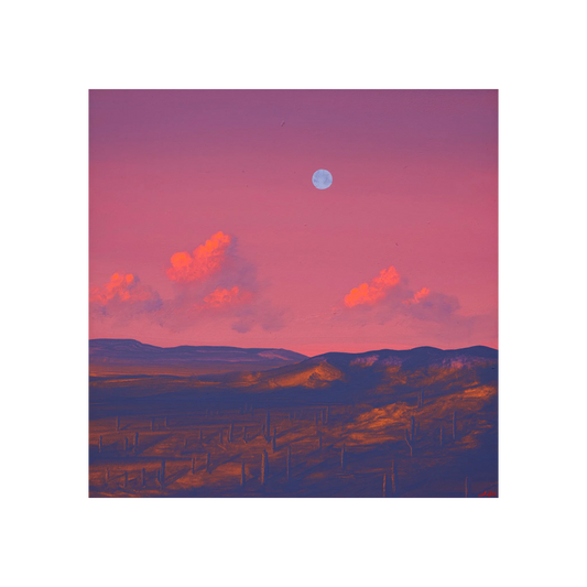 Saguaro Nat'l Park No.6 by Jake Trujillo
