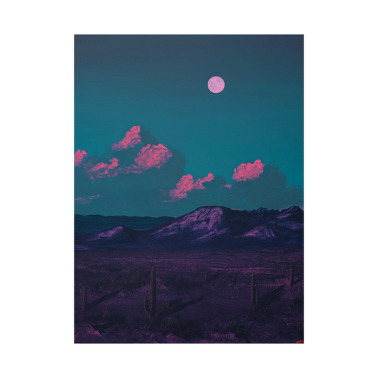 Saguaro Nat'l Park No.8 by Jake Trujillo