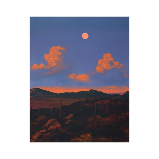 Saguaro Nat'l Park No.9 by Jake Trujillo
