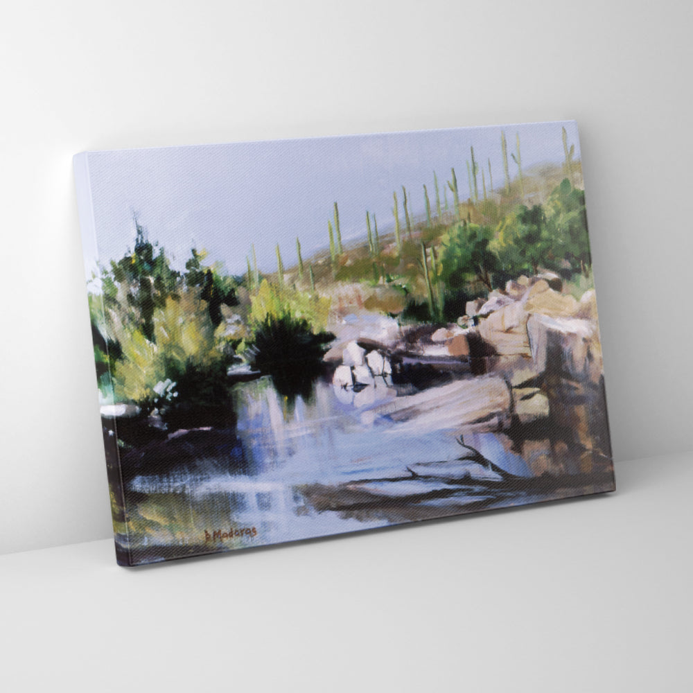 Samuel's Sabino- Canvas
