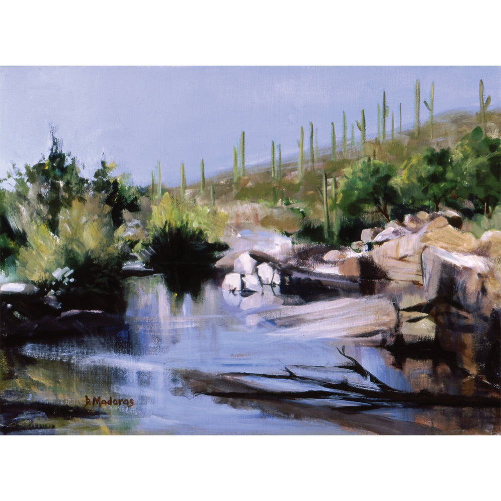 Samuel's Sabino- Canvas