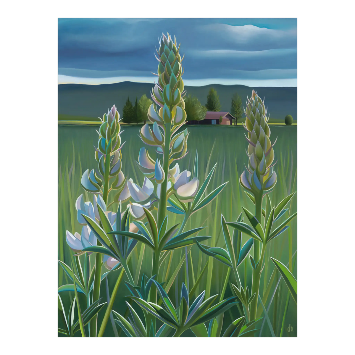 Stars of the Valley by Dyana Hesson