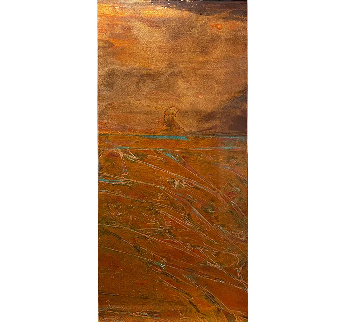 Brin’s Mesa by Stephen Bruce