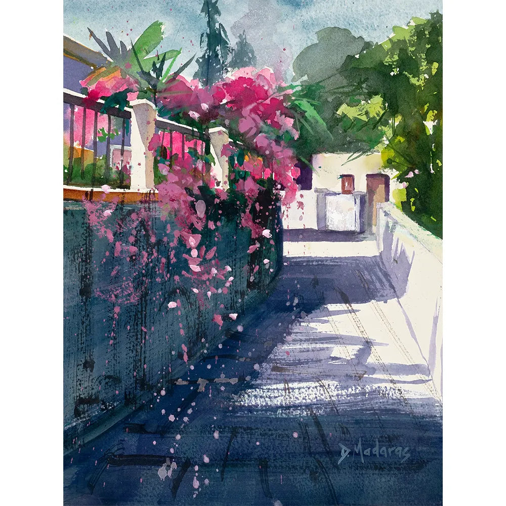 Street of Bougainvillea- Canvas