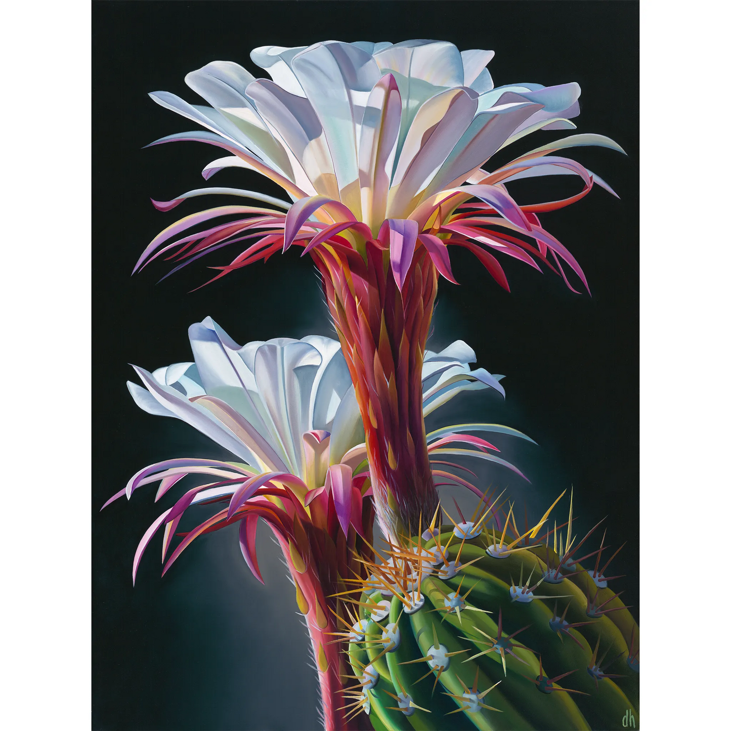 Veronika's Garden by Dyana Hesson