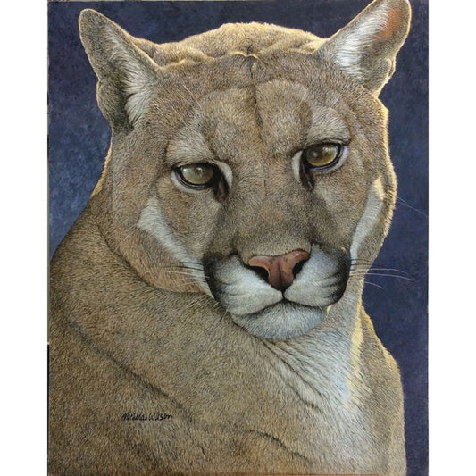 Elemental (Cougar Portrait) by Nicholas Wilson