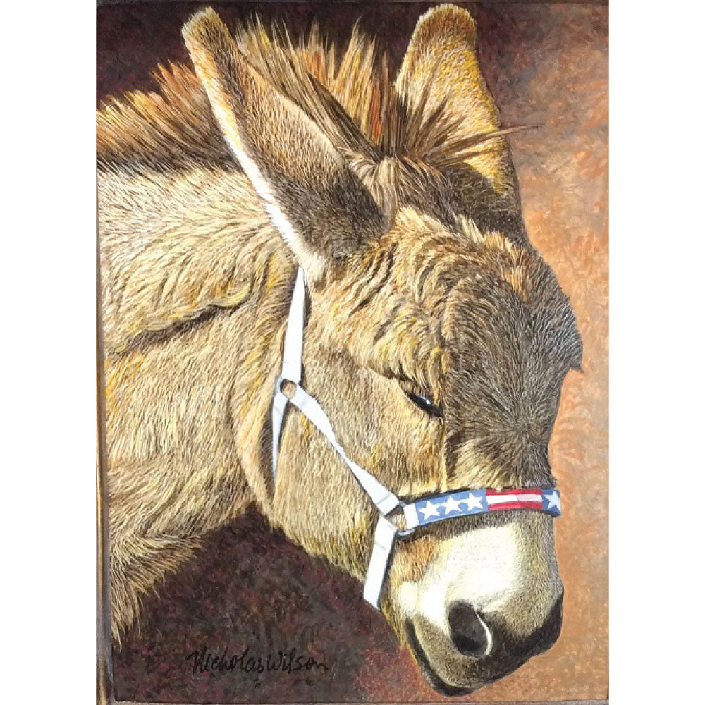 Stars and Stripes Burro by Nicholas Wilson