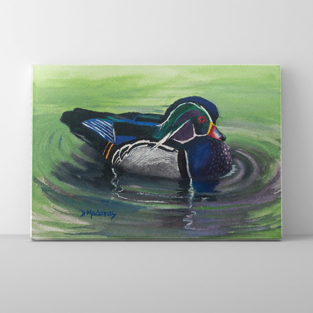 Wood Duck- Canvas