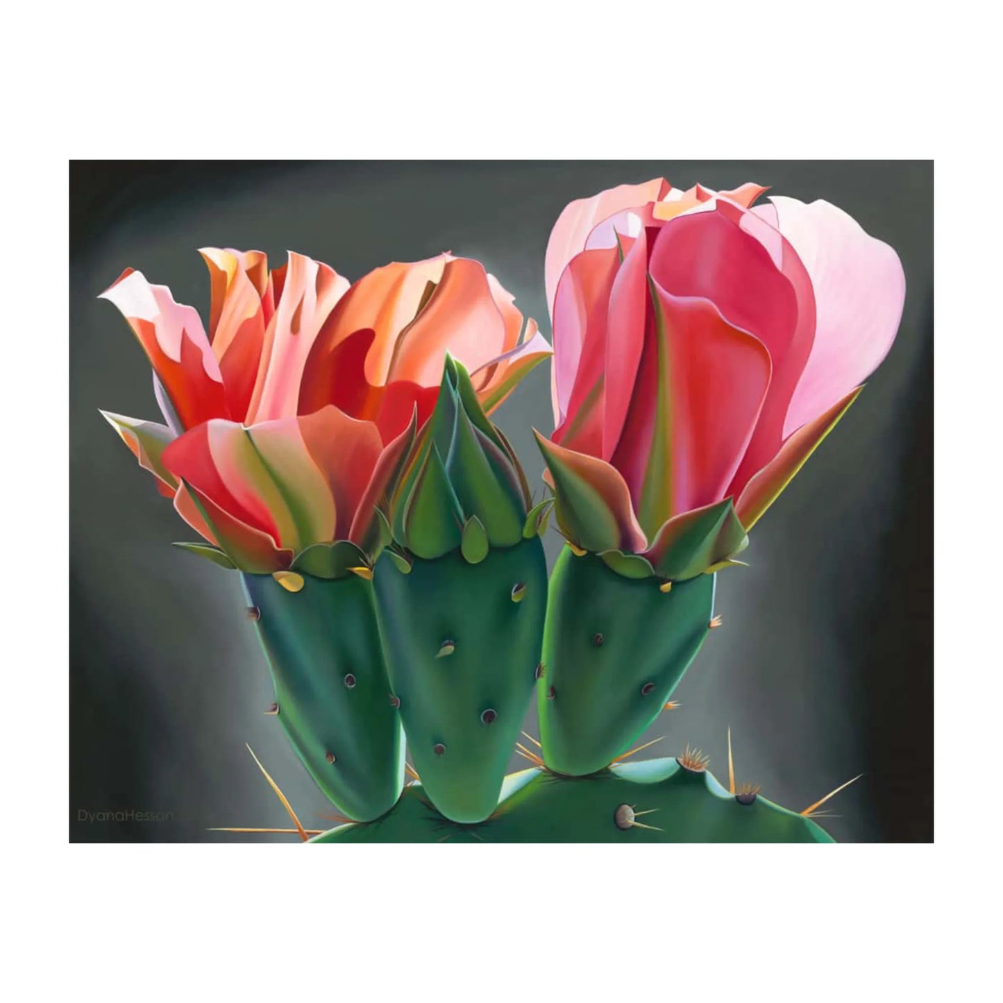 Arizona Hotshots by Dyana Hesson