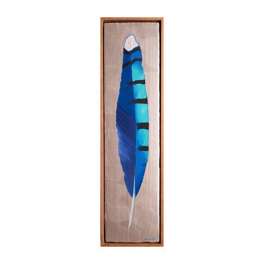 Blue Jay Feather by Brit Hansen