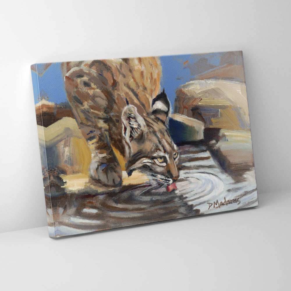 Bobcat at the Pool- Canvas