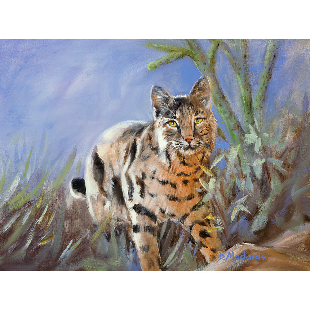 Bobcat in the Backyard - Canvas