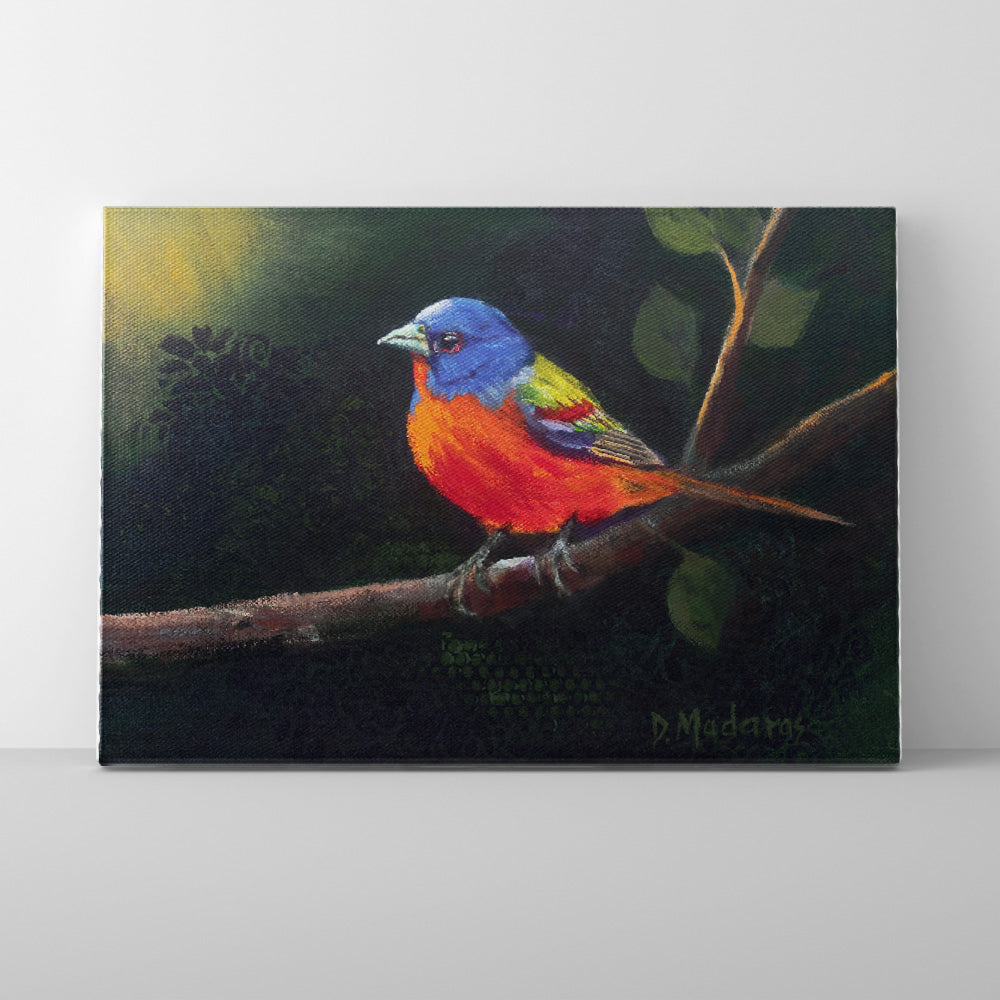 Bunting at Dawn - Canvas