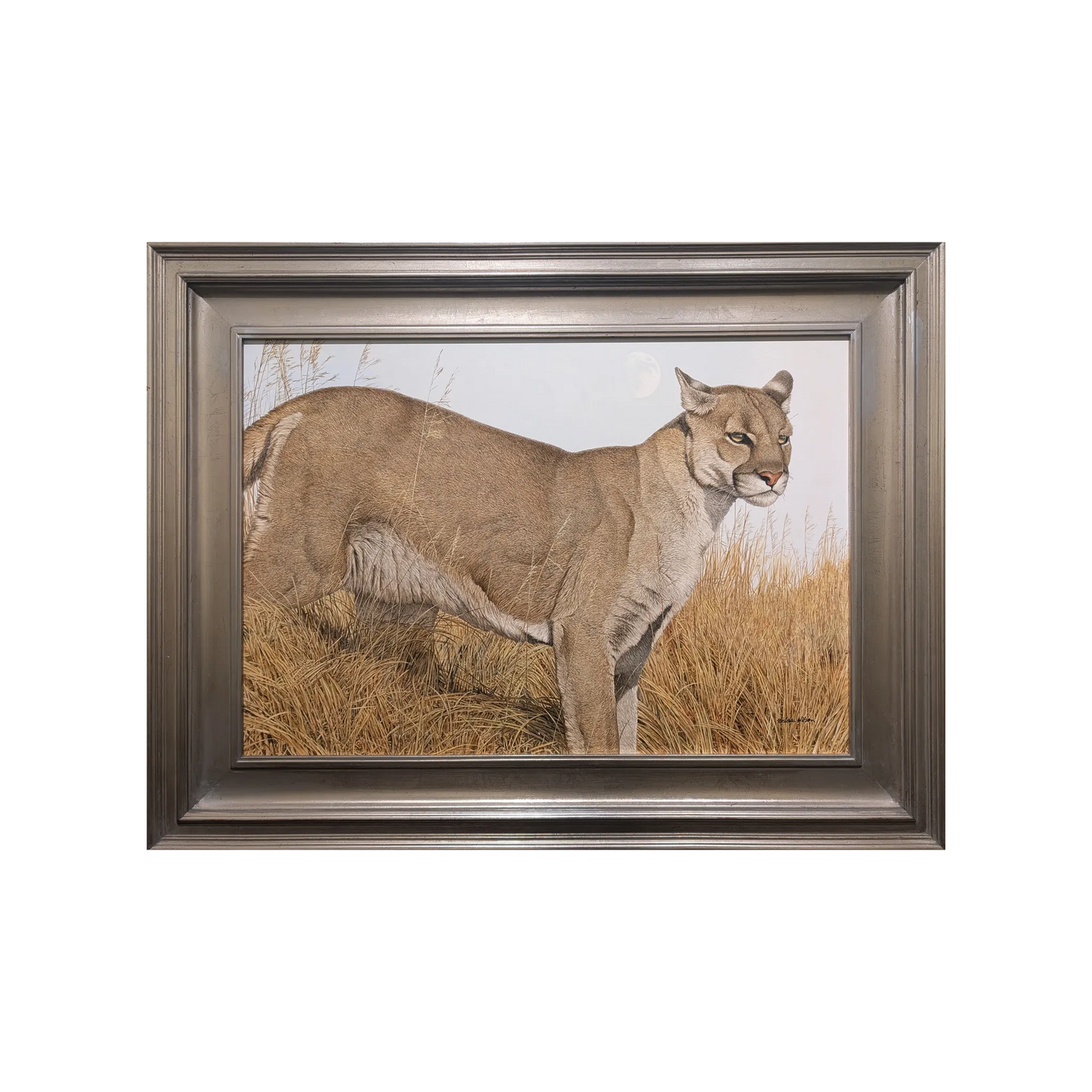 Daylight Moon by Nicholas Wilson