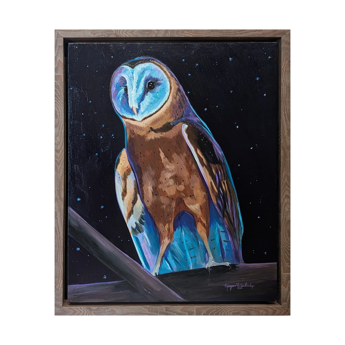 By the Light of Many Stars by Megan Wimberley